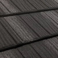 Eclipse metal tile roofing