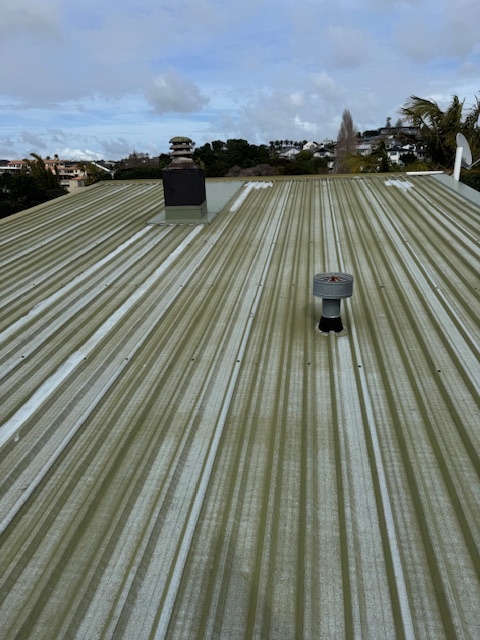 roofing specialist in auckland | The Roof Crew